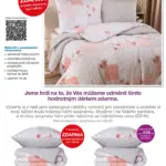 Strana 2