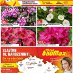 Strana 1