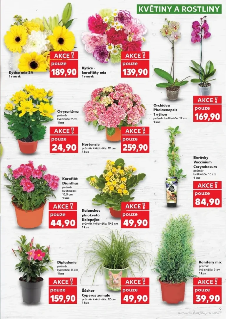 Akční leták Kaufland – Praha 4 platný od 20.05.2026 - strana 9