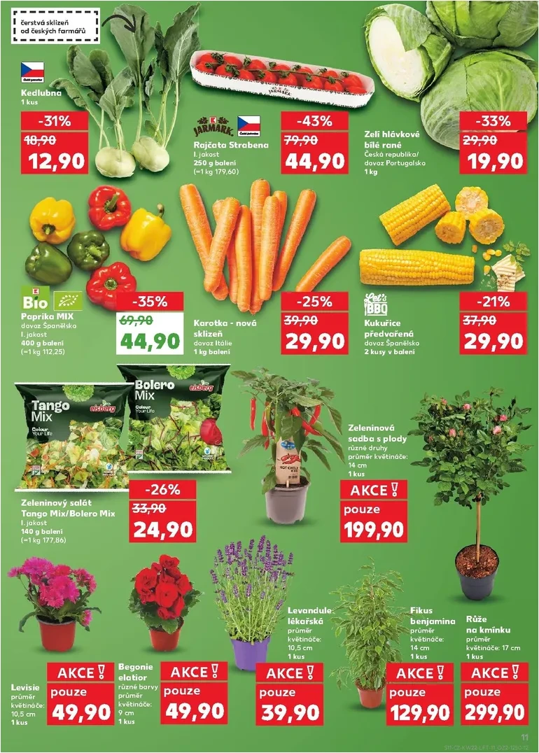 Strana 11