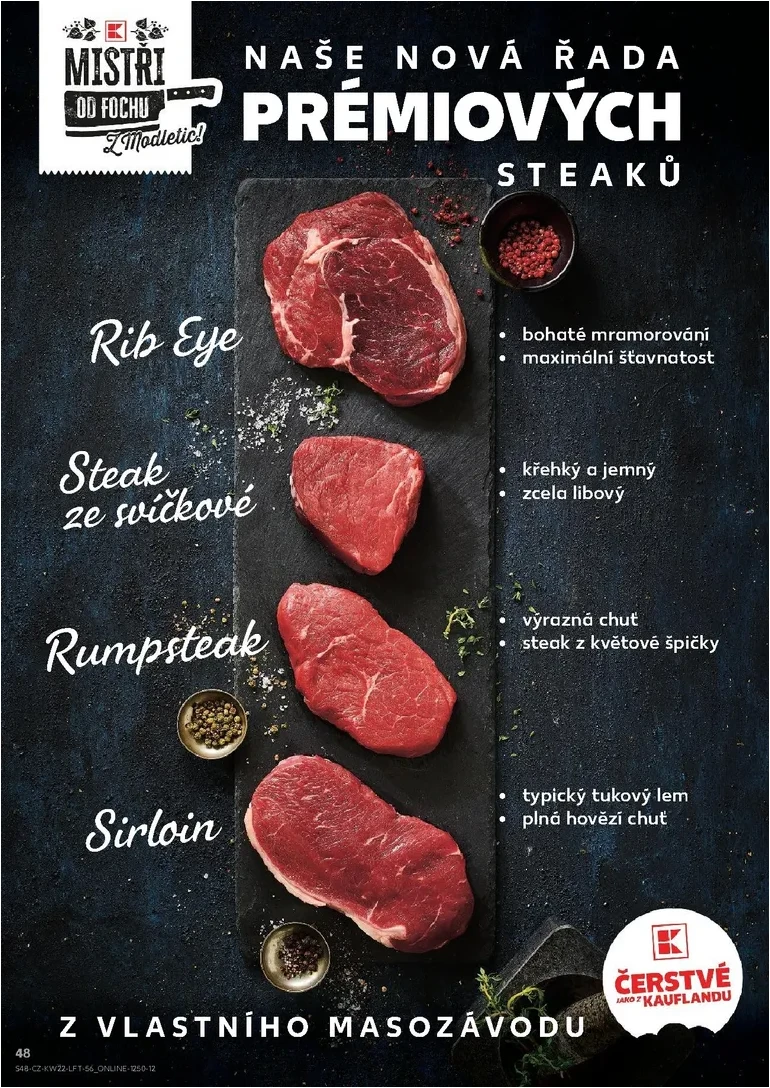 Strana 48
