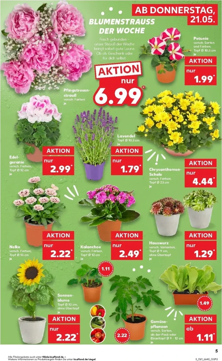Akční leták Kaufland Německo platný od 21.05.2026 - strana 5