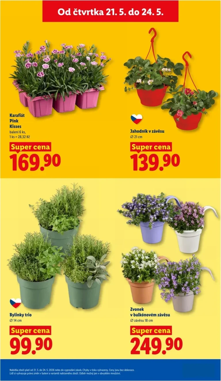 Akční leták Lidl platný od 21.05.2026 - strana 37