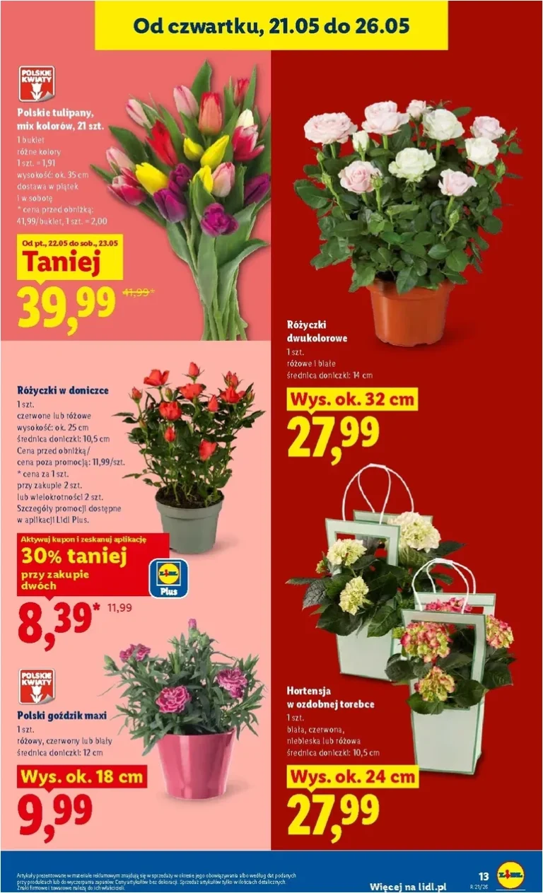 Akční leták Lidl Polsko platný od 21.05.2026 - strana 13
