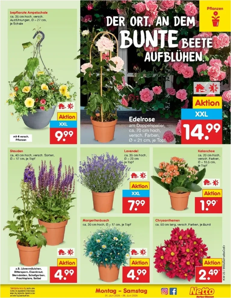 Nejnovější Netto Německo leták platný od 01.06.2026 ⭐ - strana 7