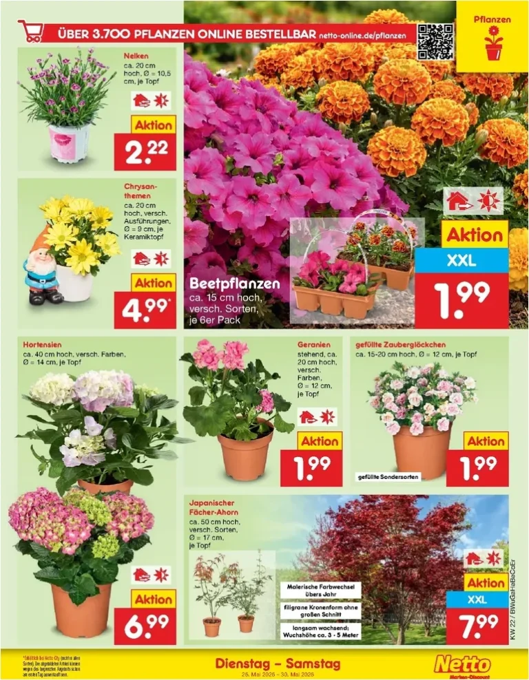 Akční leták Netto Německo platný od 26.05.2026 - strana 9