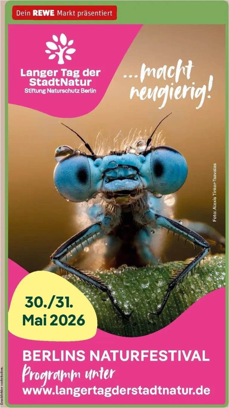 Akční leták REWE Německo platný od 26.05.2026 - strana 27
