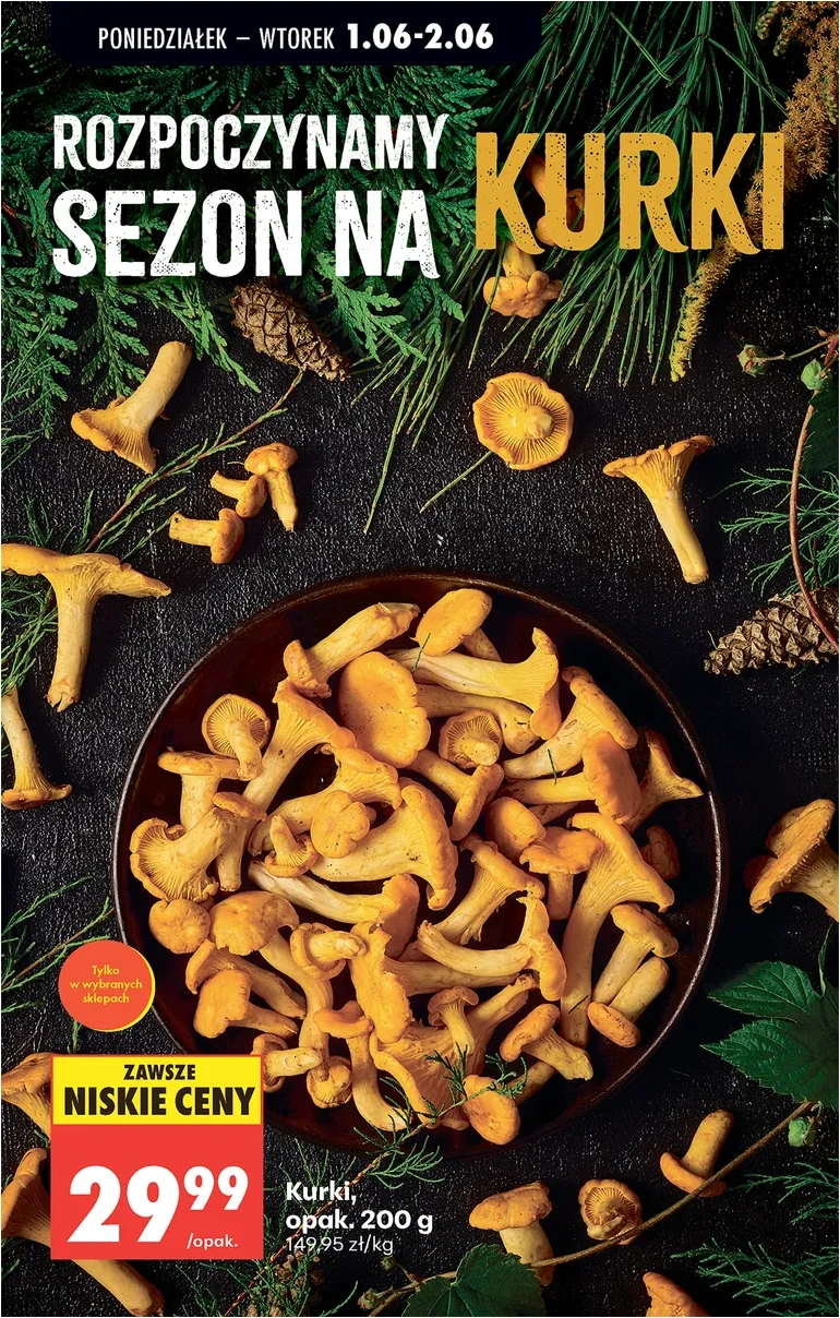 Strana 29
