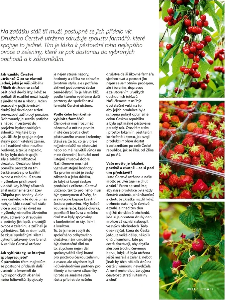 Akční leták Billa – Gusto magazín platný od 01.06.2026 - strana 55