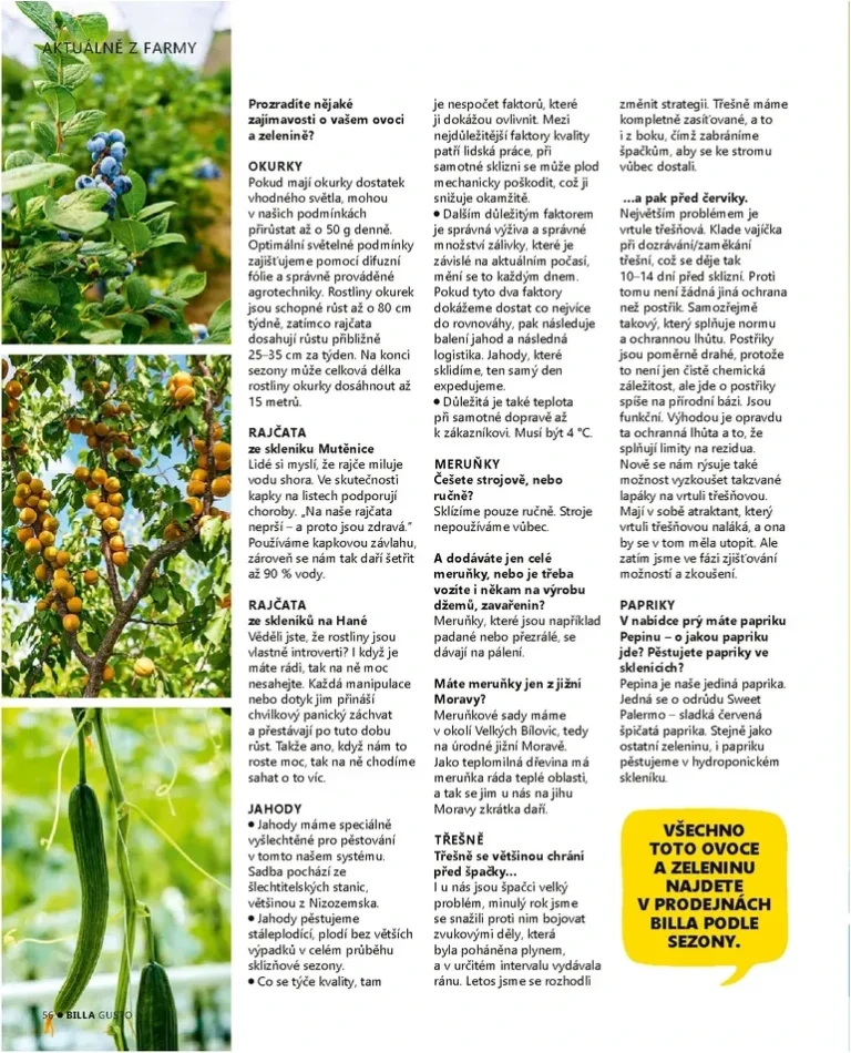 Akční leták Billa – Gusto magazín platný od 01.06.2026 - strana 56