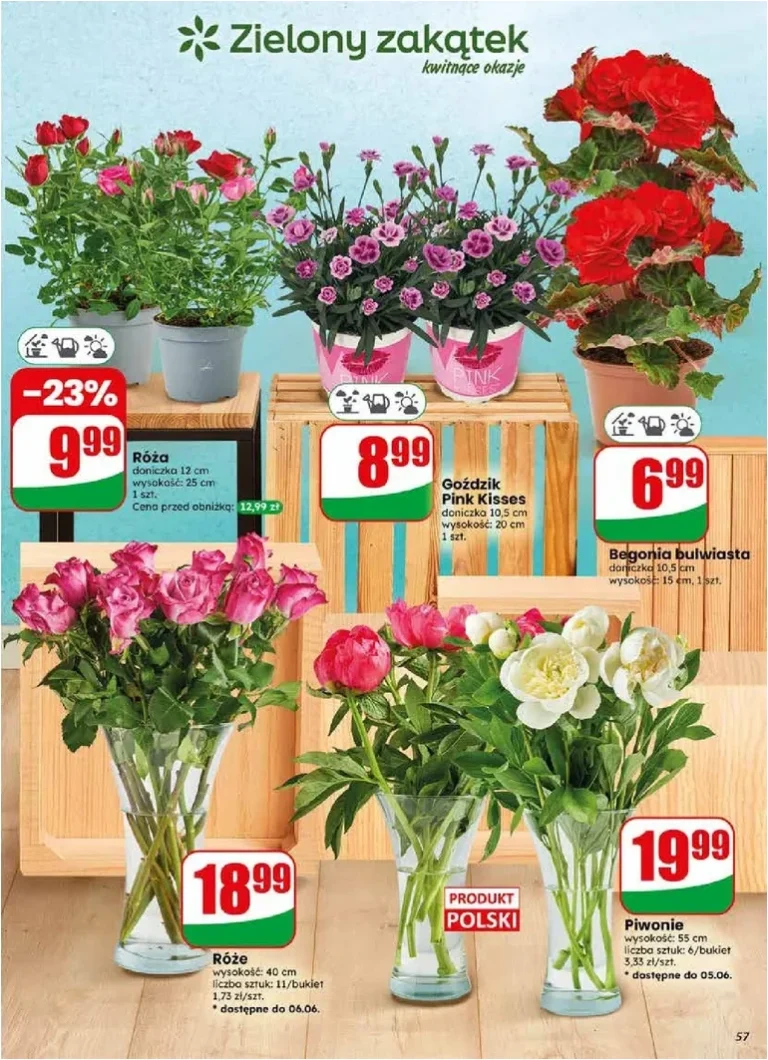 Akční leták Dino Polsko platný od 03.06.2026 - strana 57