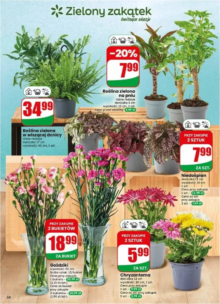 Akční leták Dino Polsko platný od 03.06.2026 - strana 58