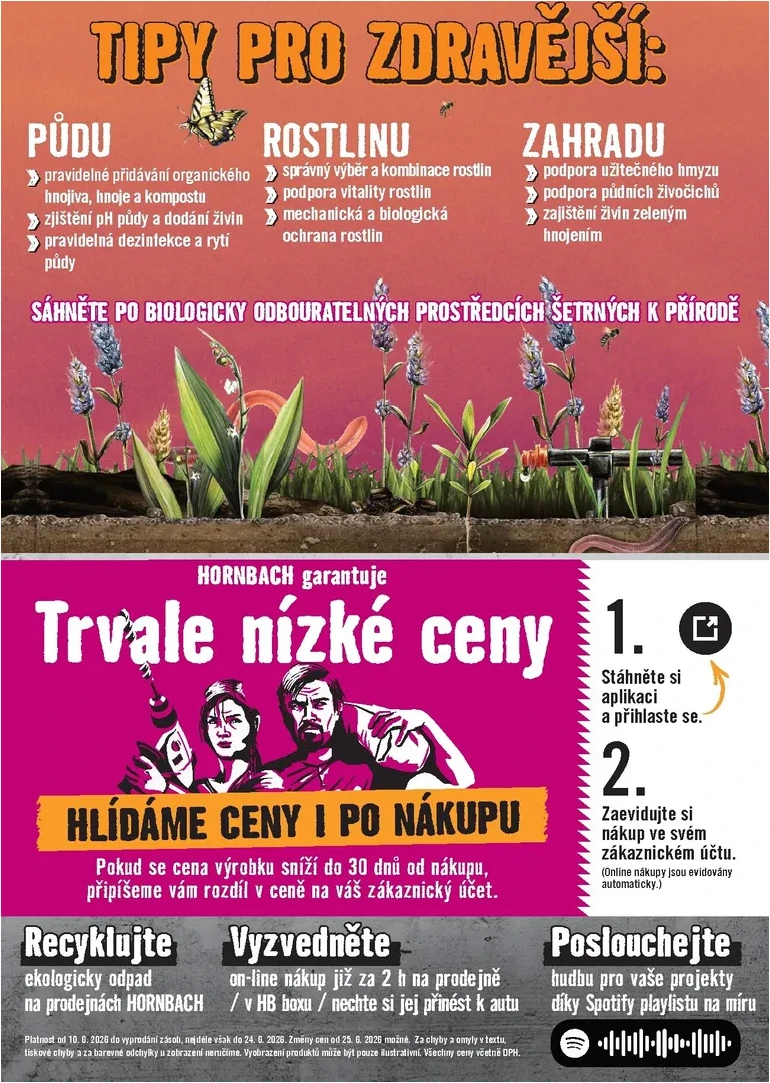 Strana 8