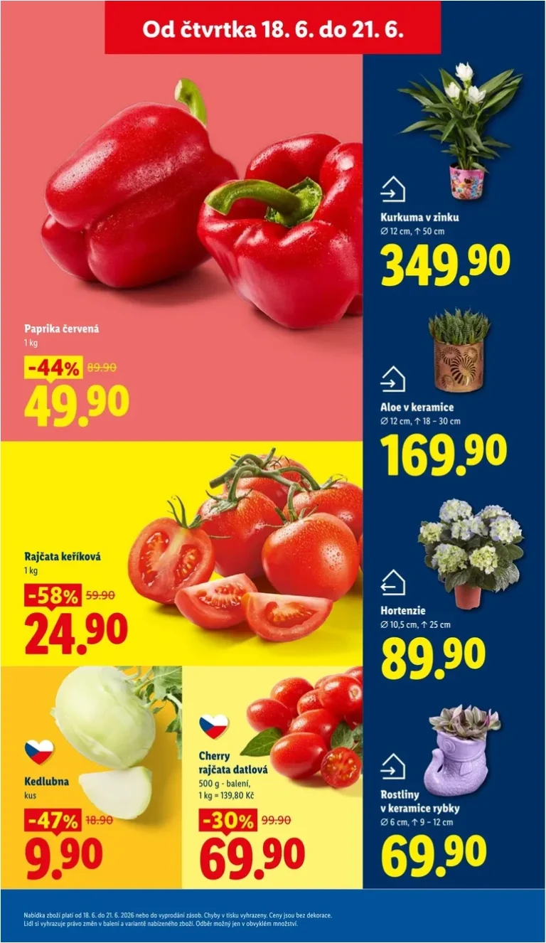 Nejnovější Lidl leták platný od 18.06.2026 ⭐ - strana 9