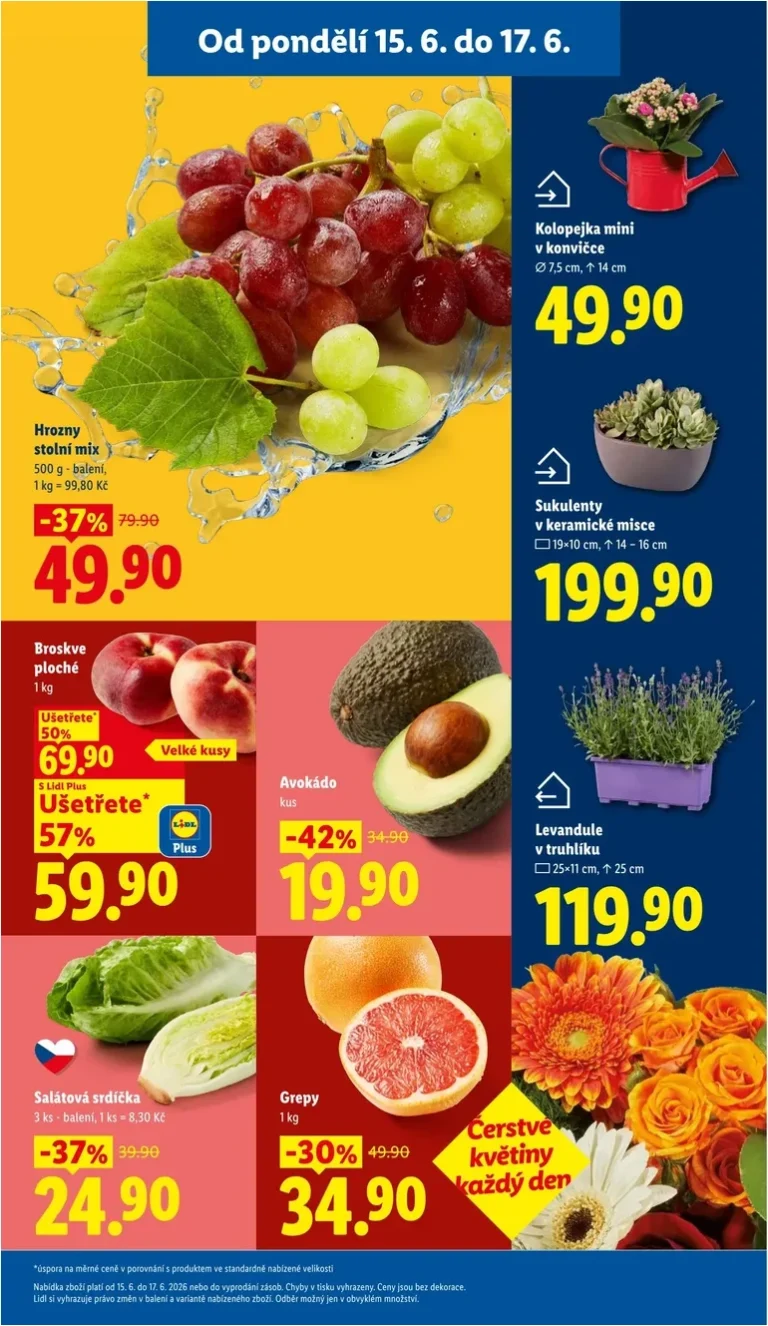 Nejnovější Lidl leták platný od 15.06.2026 ⭐ - strana 11