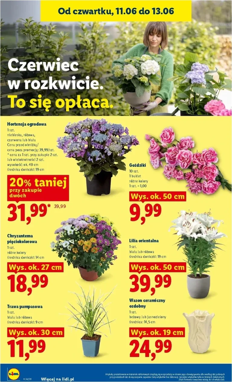 Akční leták Lidl Polsko platný od 11.06.2026 - strana 92