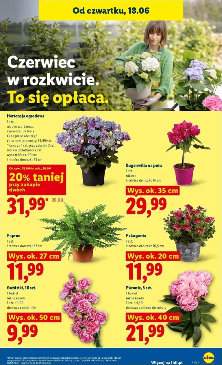 Akční leták Lidl Polsko platný od 18.06.2026 - strana 79