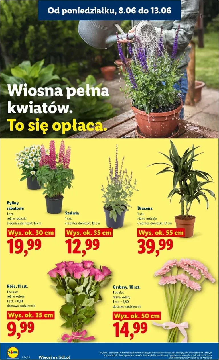 Akční leták Lidl Polsko platný od 08.06.2026 - strana 82