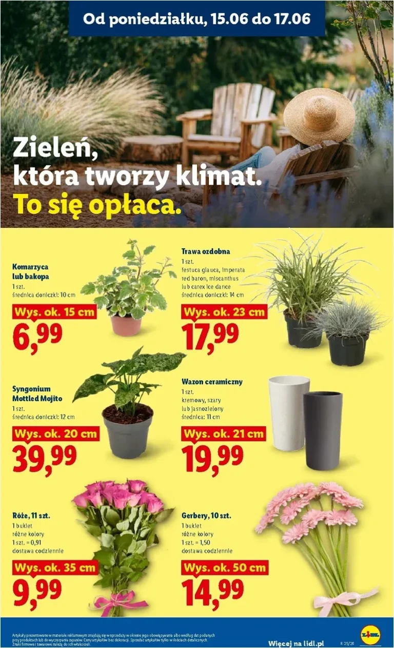 Nejnovější Lidl Polsko – Gazetka ważna od 15.06 do 17.06 leták platný od 15.06.2026 ⭐ - strana 97
